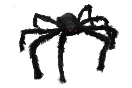 włochaty pająk na hallowen