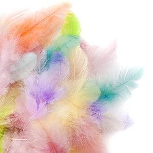 PIÓRKA DO DEKORACJI KOLOROWE PASTELOWE