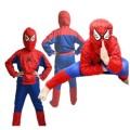 spider2.jpg