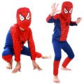 strój spider.jpg