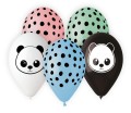 Balony Panda