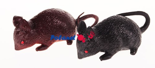 703cc65e4478a89e60259d045cbb
