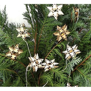 LAMPKI DEKORACYJNE DREWNIANE ŚNIEŻYNKI 2M 10LED