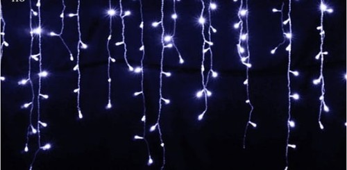 soble biale zimne.jpg