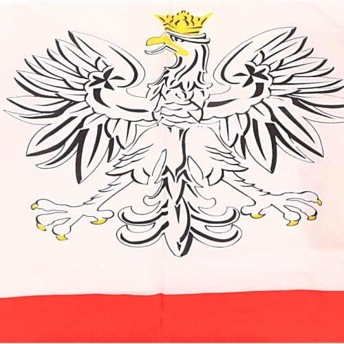 flaga polski