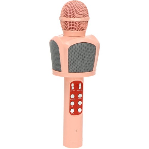 mikrofon karaoke