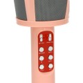mikrofon karaoke