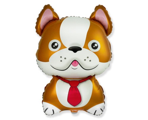 BALON FOLIOWY PIES BULDOG