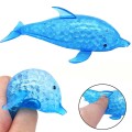 gniotek delfin