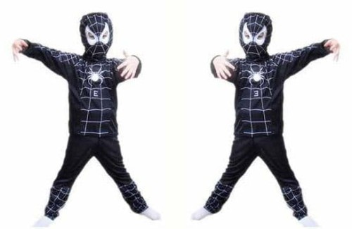 spider.jpg