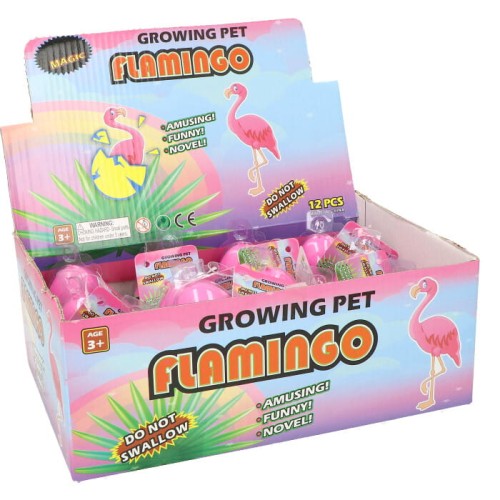 flamingi wykluwające z jajek