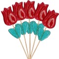 TULIPAN.jpg
