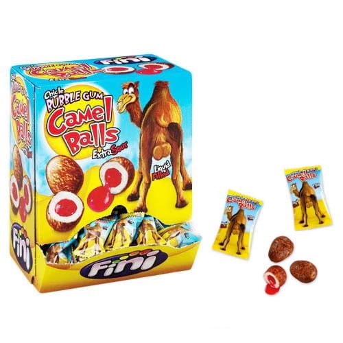 fini camel.jpg
