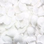 PŁATKI RÓŻ NA WALENTYNKI ŚLUB WESELE BIAŁE 500SZT