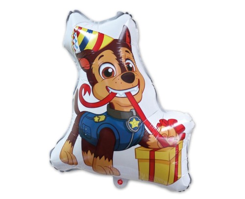 balon-chase-psi-patrol.jpg