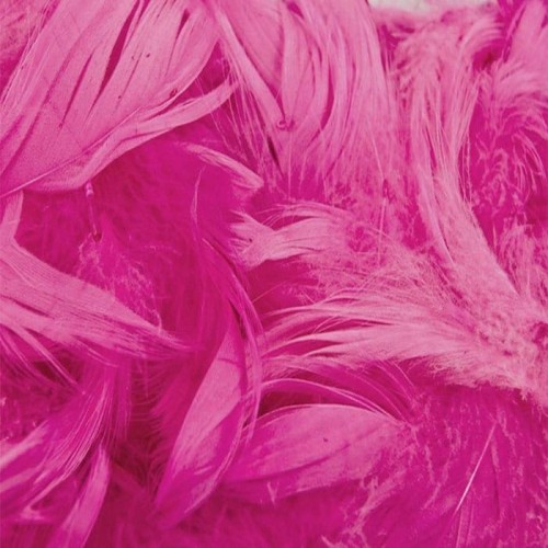 PIÓRKA RÓŻOWE DO KOMPOZYCJI