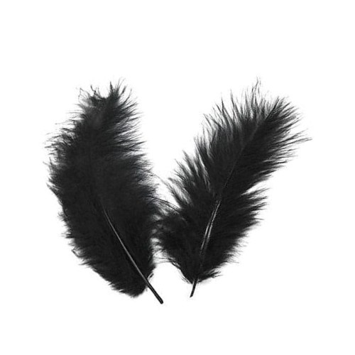 czarne piórka do dekoracji, kompozycji
