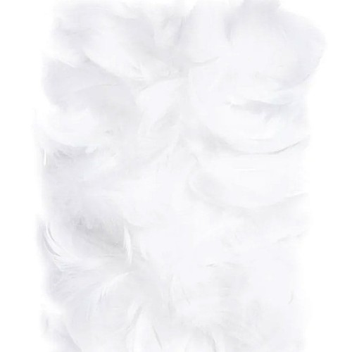 piórka białe do kompozycji 100szt