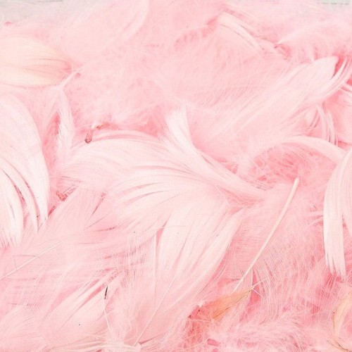piórka jasno różowe do kompozycji