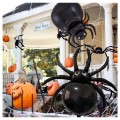 balon pająk ma halloween