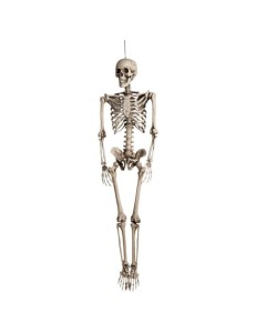 STRASZNA DEKORACJA  NA HALLOWEEN SZKIELET KOŚCIOTRUP 90CM
