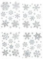 obraz_2023-11-28_123104492.png