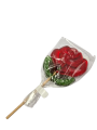 20240219_130336-removebg-preview.png