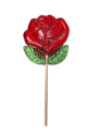 20240219_130630-removebg-preview.png