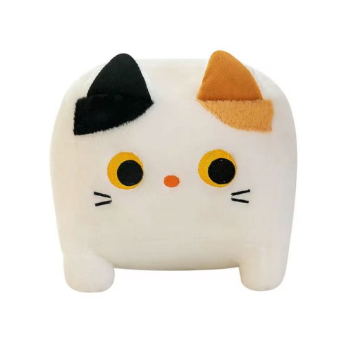 MASKOTKA KOT KWADRAT