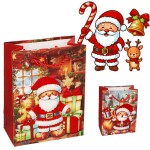 TOREBKI TOREBKA PREZENTOWA MIKOŁAJ 41x30x12 CM MIX 12SZT