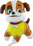 BALON GRABO 24" BULLO PSI PATROL PAW PATROL BULDOG