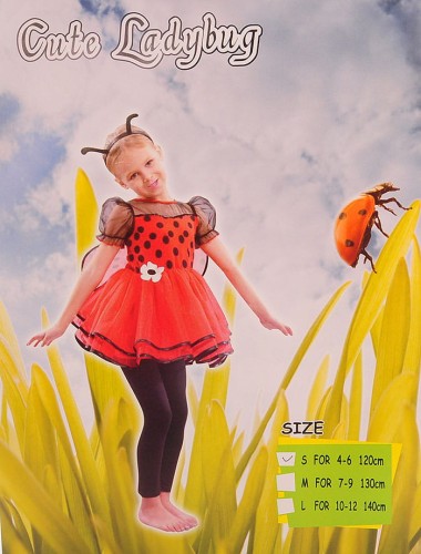 Strój sukienka biedronka